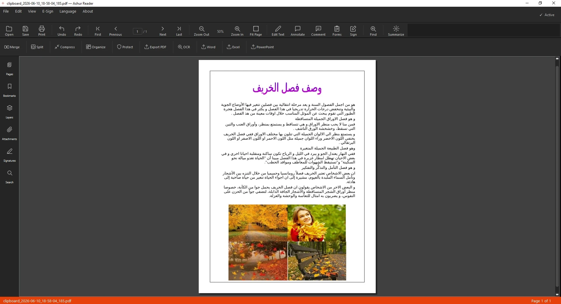 صفحة عربية ممسوحة قبل التعرّف الضوئي في AshurReader