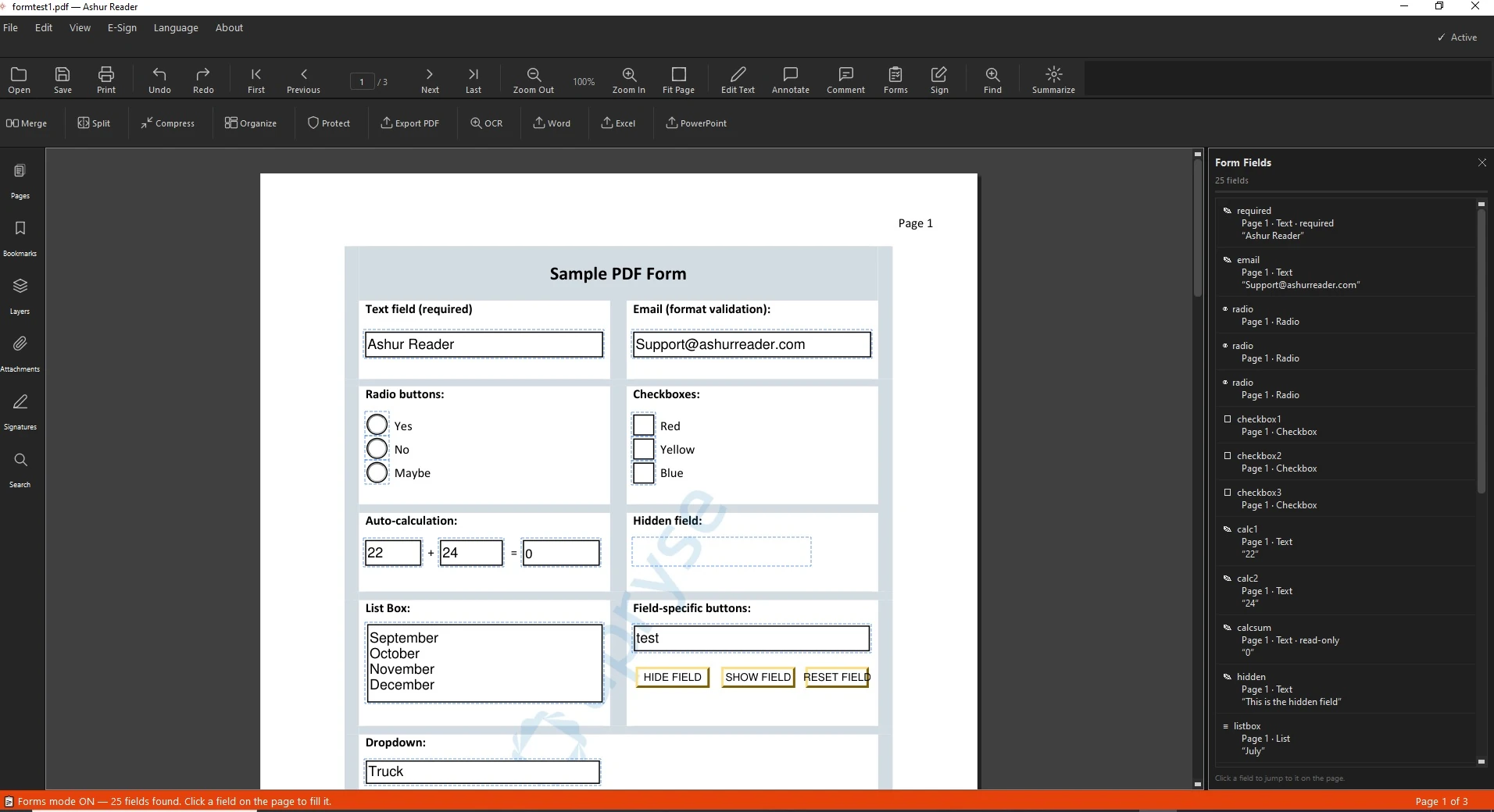 An interactive PDF form in AshurReader, English interface