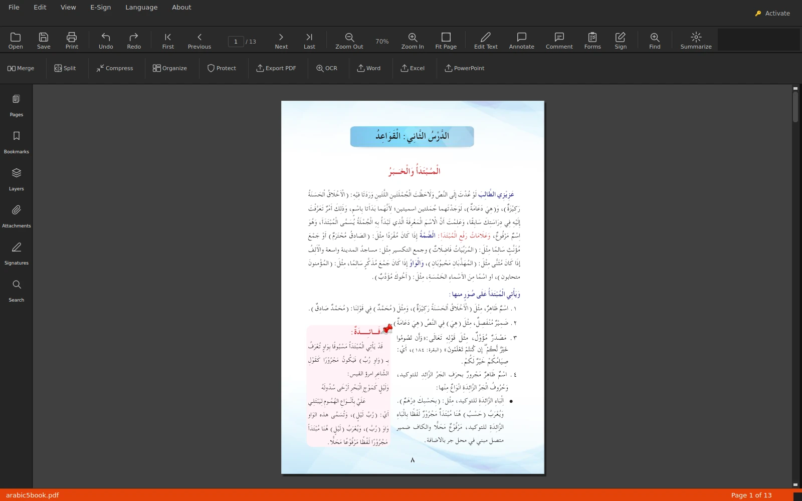 AshurReader main window with Arabic sales report open